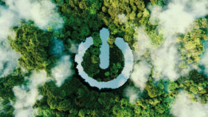 Green shutterstock image