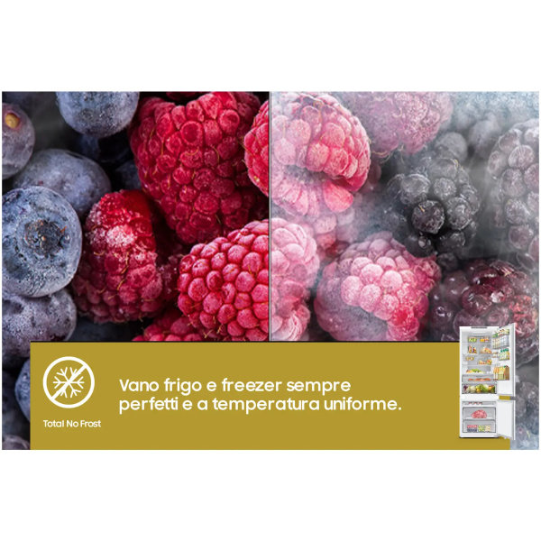 Frigorifer Inkaso Samsung 70cm Total No Frost | Leon Electronics